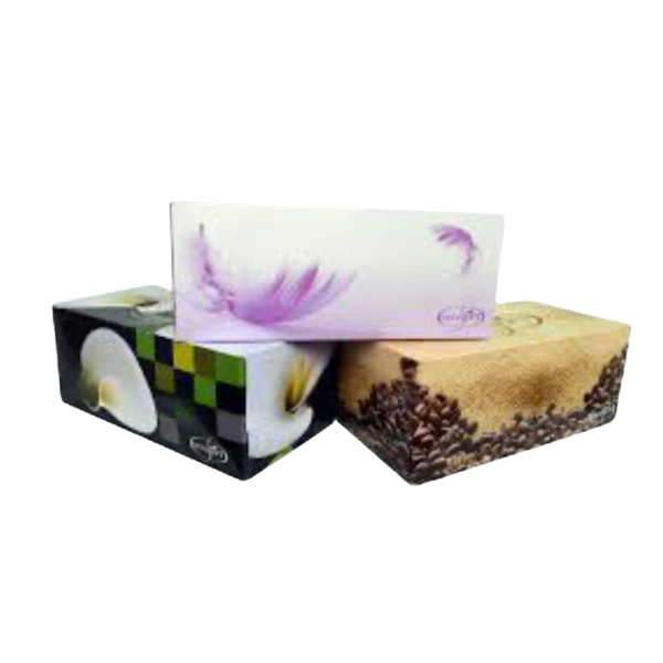 Premium 3Ply 100 Sheet Facial Tissues