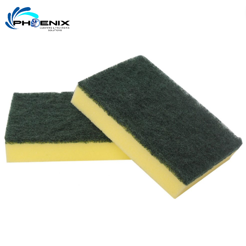 Sponge Scourer 10 pack